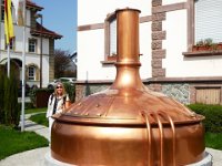 11 Cerisiers en fleurs dans l&#39;Ortenau Mösbach 10 04 2016 73